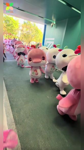 #全运会吉祥物“喜洋洋乐融融”萌翻全场,圈粉无数!而这份可爱的幕后英雄,竟是来自河南登封和广东佛山武校的孩子们。为他们的灵动演绎点赞!