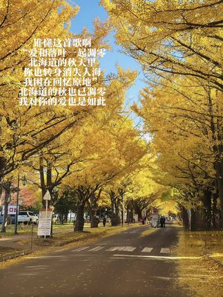 #歌曲北海道的秋天 爱和落叶一起凋零 北海道的秋天里