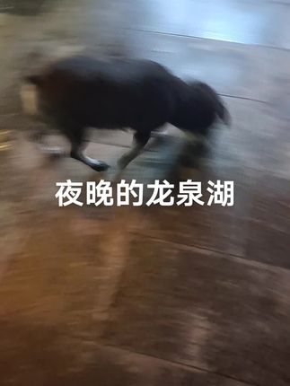 #雨中漫步也是一种享受