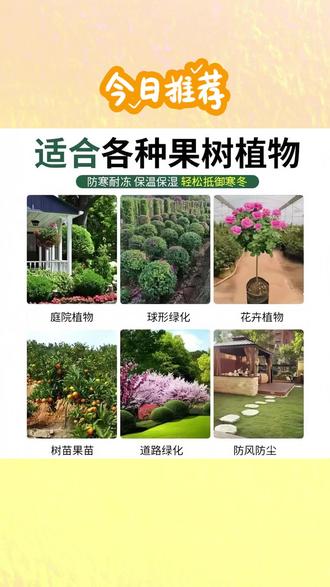 植物防寒罩果树防冻袋园艺绿植无纺布保暖罩树木铁树无纺布防寒罩