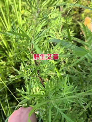 #给大家带来一丝欢乐