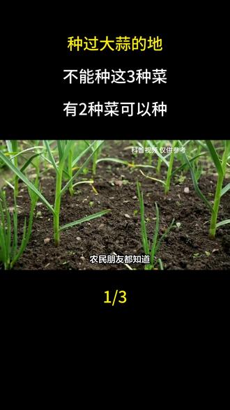 种过大蒜的地,不能种这3种菜,有2种菜可以种