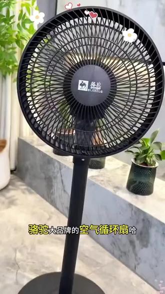 夏天家里肯定少不了这种#风扇推荐 骆驼家的#落地扇 真的很方便,遥控开关用着也方便#舒适小风扇 #高颜值风扇推荐 #好物推荐🔥