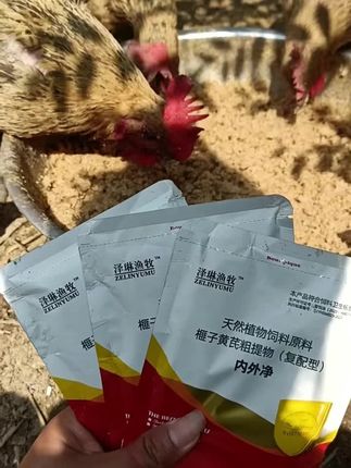 #养殖人加油 #鸡鸭鹅养殖 #畜牧养殖 #养鸡 #每日推荐