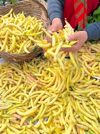 弯钩黄豆角豆大无劲不柴,肉透面糊,想吃的小伙伴来吧#弯钩黄豆角 #油豆角