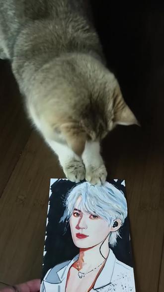 挑战画一百个明星 第二十六天 张真源#抖音万人粉丝扶持计划 #创作者中心 #创作灵感 #丙烯马克笔 #张真源