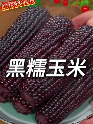 黑糯玉米#粗粮 #软糯香甜 #糯玉米 #快来一起尝个鲜 #解馋