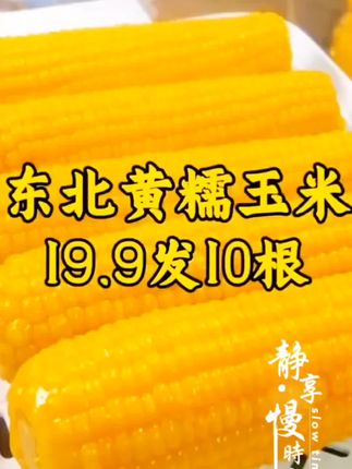 19块9到手10根,而且还都是大棒🌽#东北黄糯玉米 软糯香甜又大又糯又甜#糯玉米的营养价值 #哇又便宜又好吃 #东北甜糯玉米 #粗粮