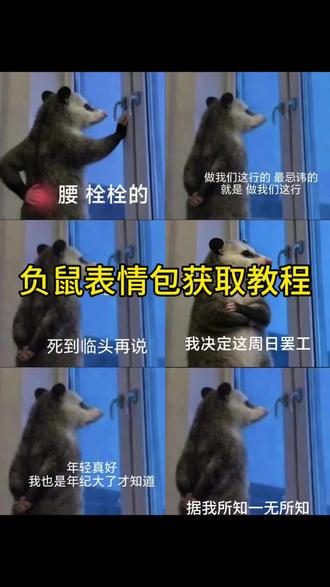 你们要的负鼠表情包获取教程来了#负鼠表情包 #小老鼠表情包 #负鼠