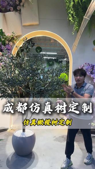 花盆上的仿真树!仿真橄榄树,可定制尺寸冠服高度品种,以及我们是在成都专门做仿真树景观的厂家,可以从设计到施工一站式落地,商场酒店餐厅办公室写字楼会所火锅店售楼部等场所均能一站式落地#仿真树#仿真橄榄树#仿真树定制#成都仿真树#天海铭园景观展厅