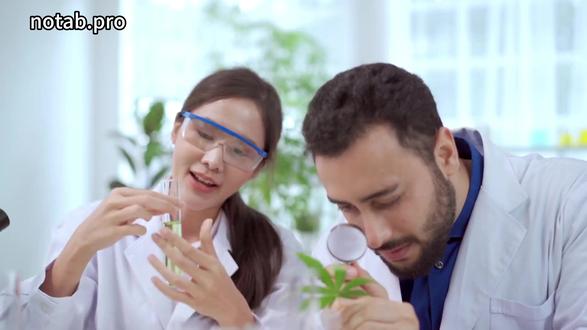 一心二用真的可能吗?认知神经科学的答案是“不”