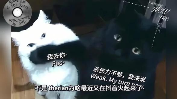 啥呀 单纯吐槽,并未针对任何人
#吐槽 #声明 #therian #并未针对任何人