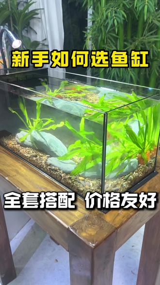 李哥预算100还想买个过滤好的60缸? 星畅这款桌面侧滤溪流缸真的可以!过滤效果好!价格也便宜!随便造景都好看!#鱼缸 #溪流缸 #星畅鱼缸 #新手养鱼