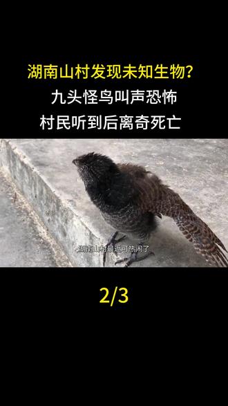 湖南山村发现未知生物?九头怪鸟叫声恐怖,村民听到后离奇死亡#湖南 #九头怪鸟 #未知生物 #野生动物