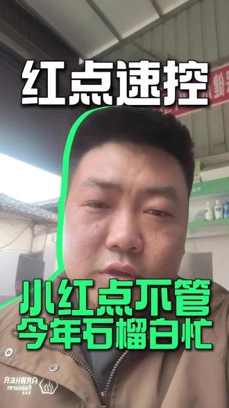 小红点预防 跳斑预防#会理诺泰尔 #会理 #会理石榴 #石榴 #彰冠镇