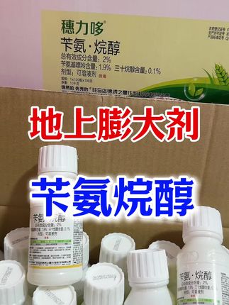 地上作物膨大剂苄氨烷醇的膨大增重原理 #膨大剂 #苄氨烷醇 #水稻膨大剂 #农业种植#水稻种植