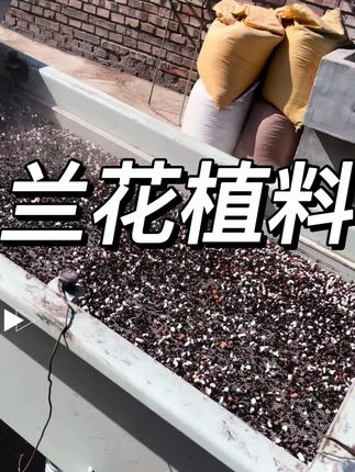 新手养兰不用愁!六合一植料直接“抄作业”