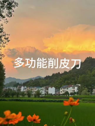 #在抖音入手的好东西 #削皮刀#厨房好物 #超便宜超划算