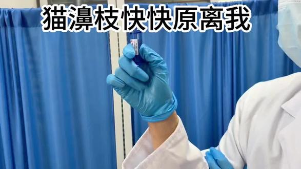 猫濞支上岸很简单
#猫鼻支 #猫咪 #猫咪打喷嚏 #新手养猫#养猫经验分享