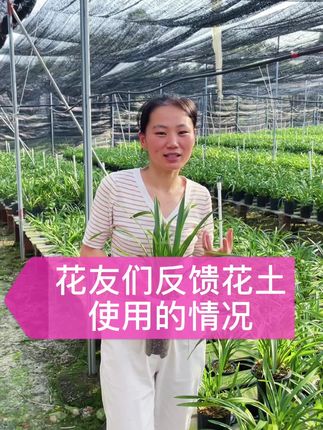 花友们反馈花土的使用情况#兰花 #花卉绿植 #养花小知识 #兰花 #养花小知识 #花卉绿植
