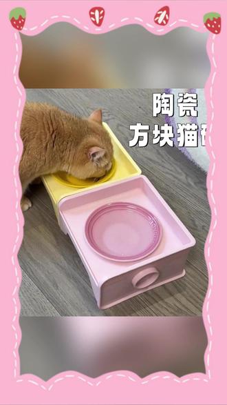 陶瓷宠物方块猫碗架餐桌可拼接狗碗猫食盆陶瓷宠物碗猫水碗粮吃饭 #猫碗 #猫猫水碗 #猫碗推荐 #猫猫水碗推荐 #猫猫用品