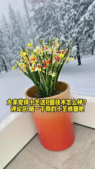 大家平常都用小艺修图吗?觉得怎么样呀? #超能小艺轻松搞定 #华为Mate80 #鸿蒙越用越香#这不可能但很Mate