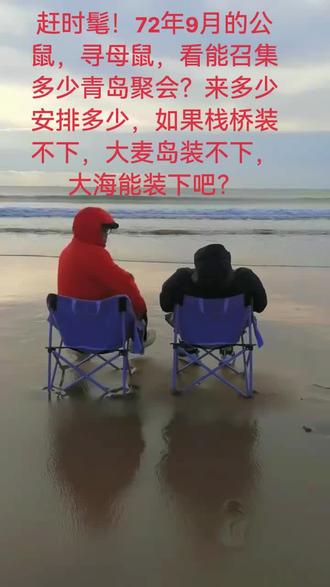 公鼠母鼠青岛聚 赶时髦!鼠鼠相联!