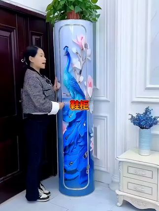 圆形鞋柜图案新颖美观大方经济实惠