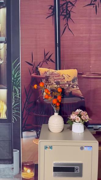 家里重要东西没地方放?这款智能保险箱包邮还免费退! 今天下午五点半前下单,明天上午九点后发货!包邮到家还有运费险哦~#好物推荐🔥 #虎牌保险柜 #居家好物 #保险柜家用