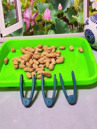 剥花生壳神器家用生熟花生种子人工大量去皮工具多功能瓜,这款剥花生的小工具,小巧玲珑,剥花生壳快速不伤种子不伤手#花生剥壳器#服务三农支持三农 #剥壳快速不伤手#花生去壳