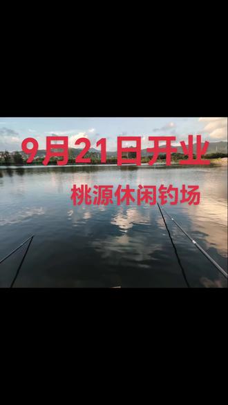 1.收费标准:
原塘(小塘)休闲垂钓50元一杆一天,3斤以上可以回鱼(3元一斤),3斤以下自行处理。
大塘普票(青鱼草鱼叉尾罗非)一杆100元,6小时,回鱼3元。
大塘鲢鳙大头一杆150元,6小时,回鱼5元(15斤以上强制回鱼150元一条)。
2.通宵:21:00—6:00,为了安全着想3人以上方可通宵。
3.限手杆和线总长18米,死鱼,扣腮鱼,不回收。
4.乌青10斤以下30元一条,10斤至15斤80元一条 第一条鱼获自由,第二条开始强制回鱼80元一条,15斤—20斤以上150元一条(强制回鱼)20斤以上266元一条(强制回鱼)。
会员充1000元赠送300元以此类推
注:鲈鱼和翘嘴属无效鱼(如想带走可以按市场价5折购买)
———禁止用污染水质饵料。
入场免责声明:凡参加垂钓活动者。均视为具有完全行为能力人,鉴于垂钓活动存在一定的不可控性意外风险,鱼塘管理者不对个人意外事故负责任,风险自负。若感觉身体不适时,请提前离开,切勿拖延坚持,如有意外,本鱼塘不承担任何法律连带责任。行动不便者,需在家属陪同下进行垂钓活动。当发生意外事故时,鱼塘管理者有义务尽力救助但不承担任何法律连带责任。
注意安全和开心垂钓一样都不能少!#福建#泉州 #钓鱼人 #钓鱼 #桃源休闲钓场