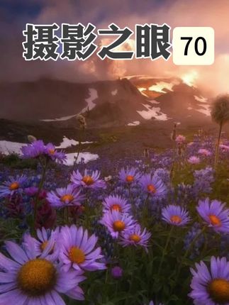 摄影之眼(70)