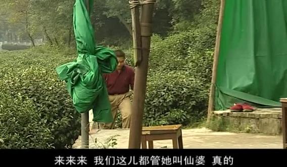 命运操控下的她们,如何寻找最终归宿?