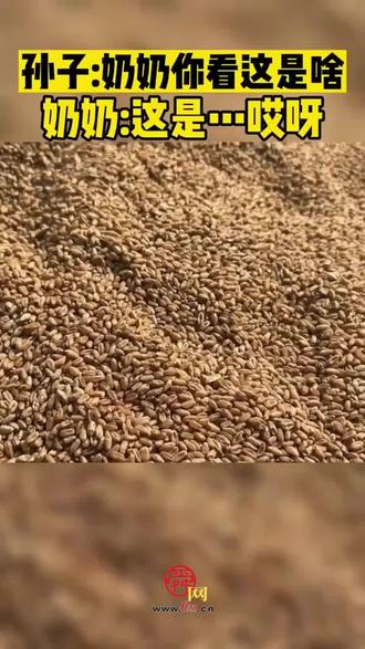 孙子:奶奶你看这是啥 奶奶:这是哎呀