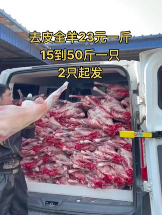 去皮全羊23元一斤，15到50斤一只，2只起发#全羊 #去皮全羊 #牛羊肉批发 #支持全国发货