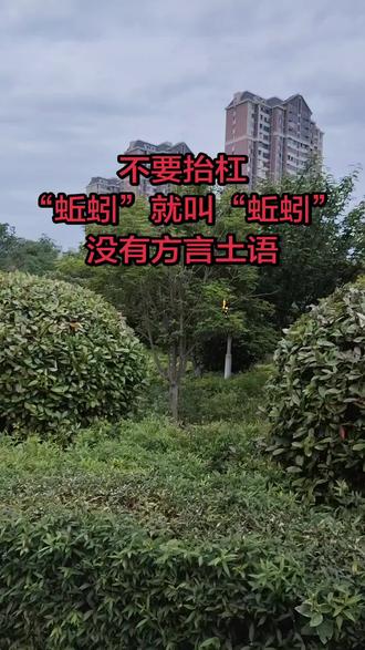 不要抬杠“蚯蚓”就叫“蚯蚓”没有方言土语#安徽dou知道 #方言 #农村人 #抖音推荐 #户外拍摄