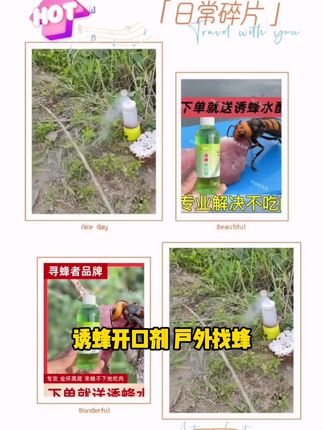 诱蜂开口剂户外找蜂诱蜂水原材料金环虎头蜂下单可领取配方#农业种植技术 #每天跟我涨知识 #快来围观 #除草剂