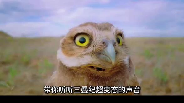 带你听听三叠纪操变态的声音 #动物纪录片