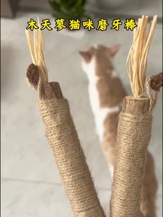 #生活服务热点中心 #脾气好的猫 #宠物vlog #磨牙棒 #田园猫