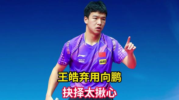 王皓弃用向鹏,1个关键抉择太揪心!,背后藏着多少无奈?