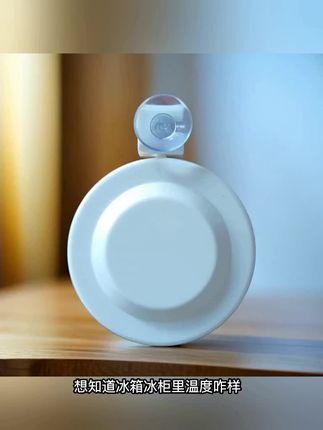想知道冰箱冰柜里温度咋样,有它就行,这玩意儿能精准测量冷藏冷冻温度,是家里必备好物,用它随时掌握温度情况,让食物储存安心