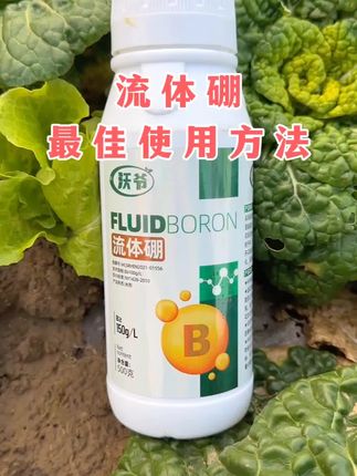 流体硼#病虫害防治 #农业种植#农资肥料#流体硼使用方法 #种植小技巧