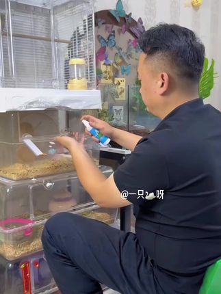 千万别忽视!仓鼠/金丝熊等驱虫要到位,人宠共安才安心#养鼠日常分享 #仓鼠驱虫#仓鼠 #家有萌鼠 #抖in萌宠计划