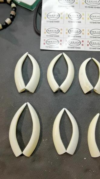 国粹精华耍牙的牙!!根据嘴型55毫米到95毫米可以定制!吉合元工艺品荣誉出品。#七台河吉合元工艺品文玩 #七台河爱心福利商会 #七台河百年御泉老酒坊 @吉合元酒品文玩 @吉合元工艺品 @吉合元工艺品(加工定做文玩手串)