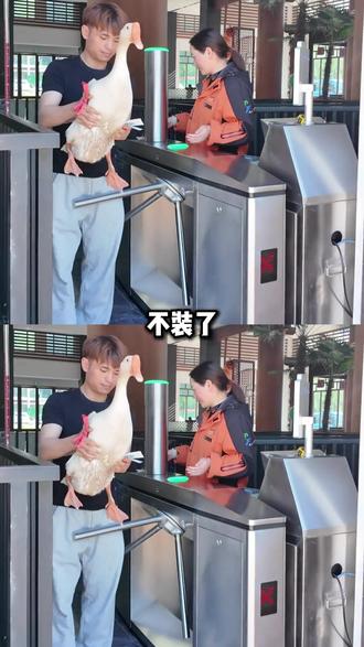 这波也是“母凭子贵”了 #洛阳白云山 #宠物友好景区 #宠物