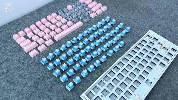 兄弟们!这把是你喜欢的狼蛛MINI60吗?
#磁轴键盘 #热插拔 #DIY