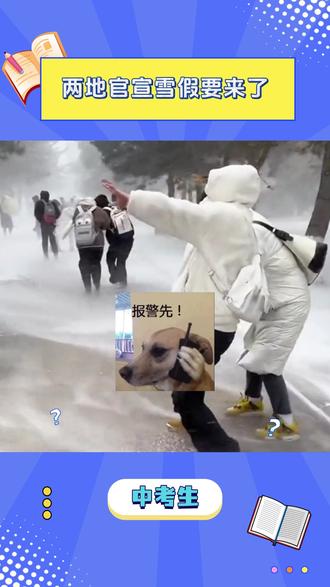 两地官宣雪假要来了 #假期 #放假 #雪假 #热点