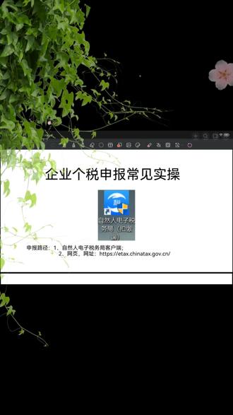 干货啦,企业个税申报