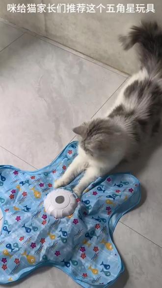简直就是懒人逗咪神器#猫咪玩耍好物 #五角星玩具 #解放双手