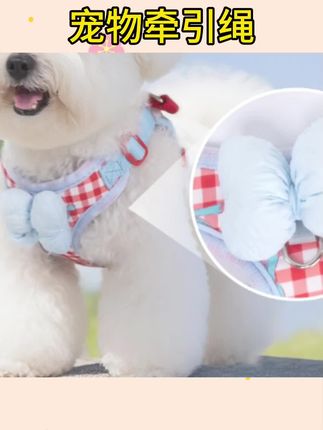 #宠物牵引绳 #狗狗牵引绳 #牵引绳遛狗 狗狗牵引绳小型犬专用蝴蝶结宠物狗狗胸背带透气不闷热狗绳牵引绳#牵引绳推荐 #狗狗牵引绳分享